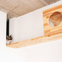 木製キャットボックスの中からのぞく猫の顔アップの写真