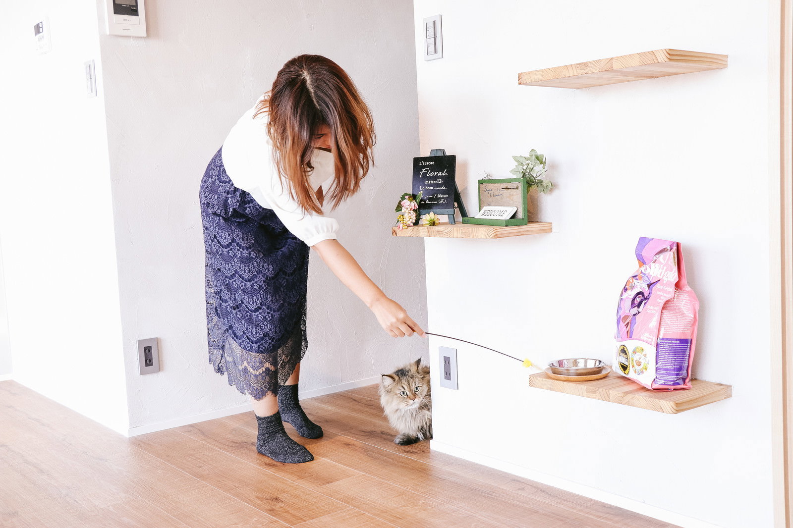 猫じゃらしで遊ぶ女性と茶白の猫［モデル：モデルリリース］