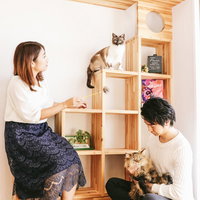 猫と暮らす家で二人と二匹が過ごす時間の写真