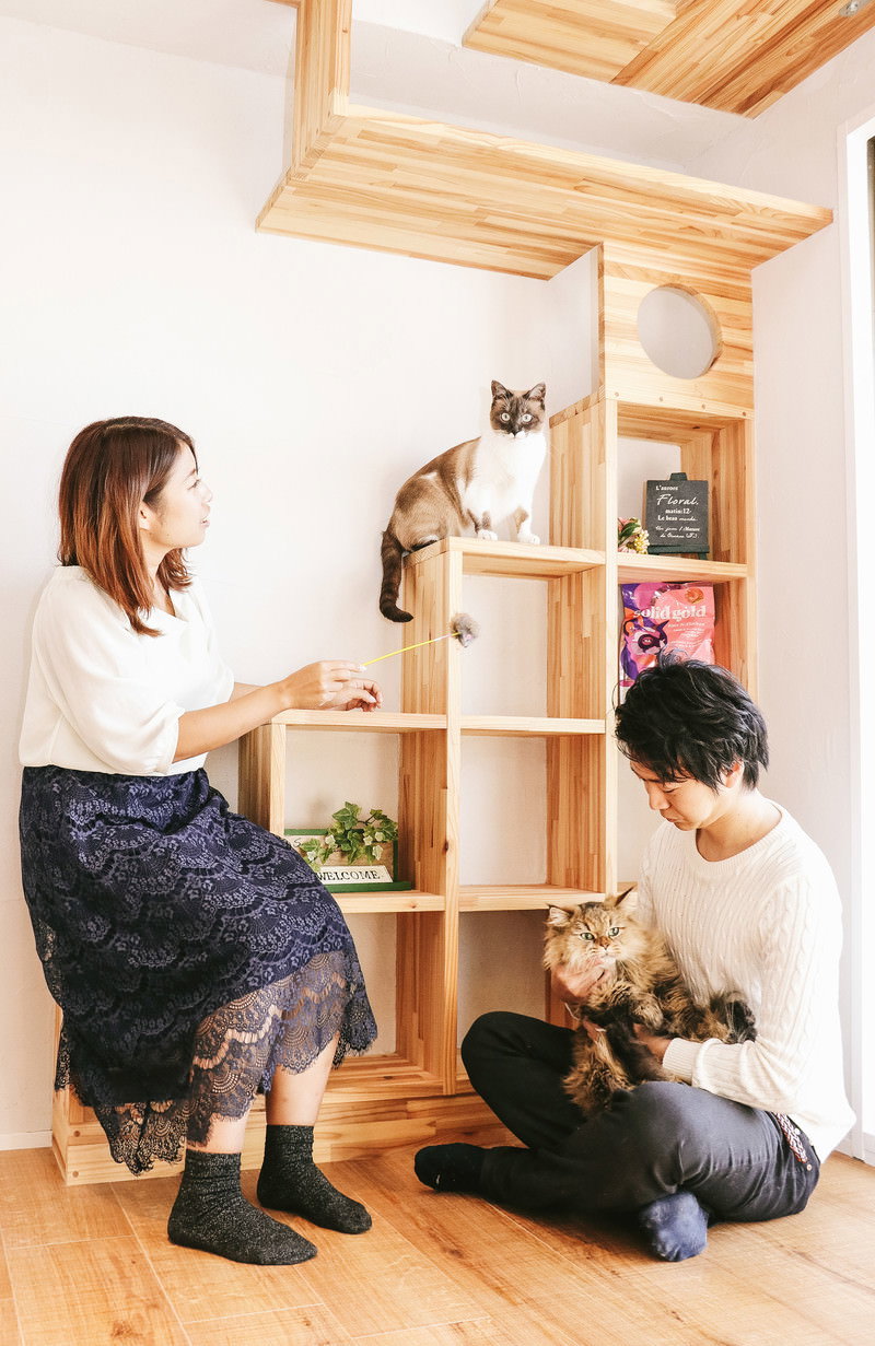 室内で猫と過ごすカップル［モデル：モデルリリース］