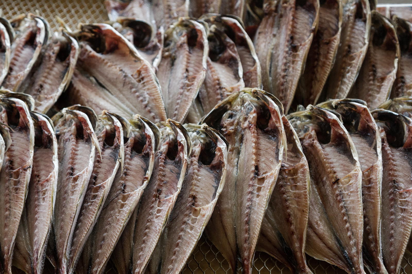 いすみ市の朝市で販売されている鯵の干物が多数並べられている