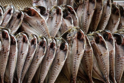 いすみ市の朝市に並ぶ鯵の干物、天日干しされた水産加工品