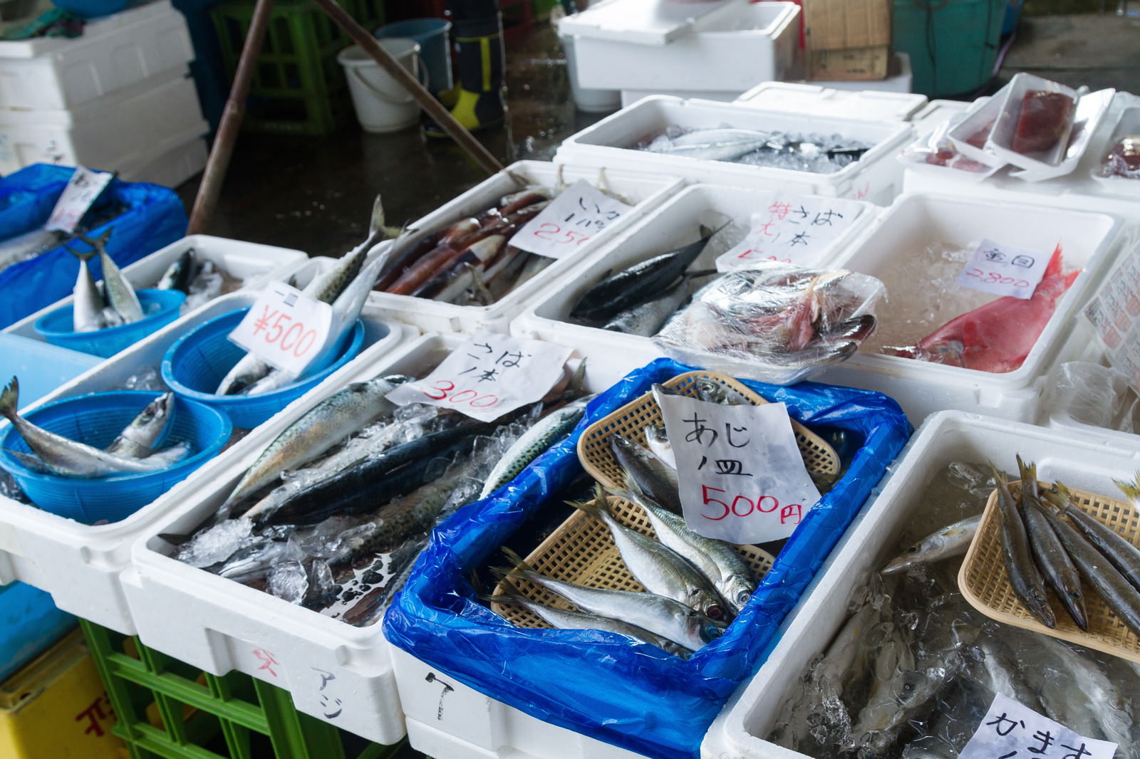 白いトレーに並んだ秋刀魚やあじなどの鮮魚と手書き値札