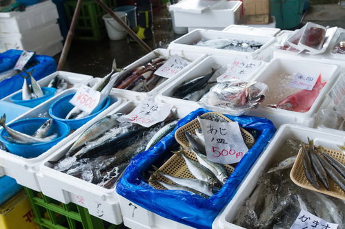 新鮮な魚が並ぶ港の朝市の鮮魚売り場｜いすみ市の漁港で撮影