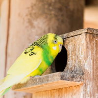 「中にいるんでしょ？」悪質セールスの写真