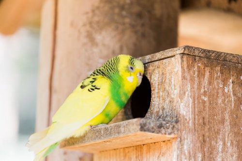 「中にいるんでしょ？」悪質セールス