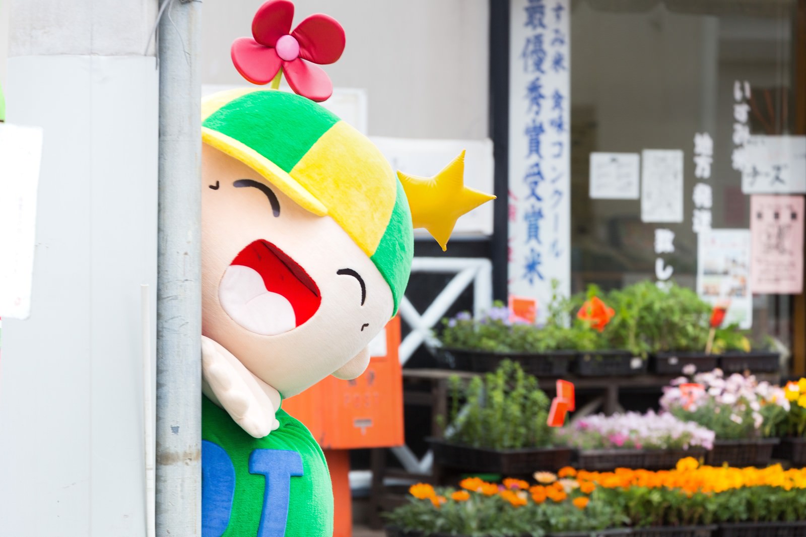 袋入りトマトが並ぶ青果店の棚［モデル：ホットくん］