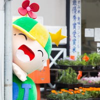 袋入りトマトが並ぶ青果店の販売棚の写真