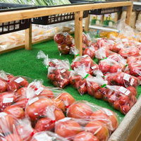 大原中央商店街のふれあい市場に並ぶ新鮮なトマトの写真