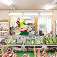 大原中央商店街のふれあい市場で店番をするゆるキャラ「ホットくん」の写真
