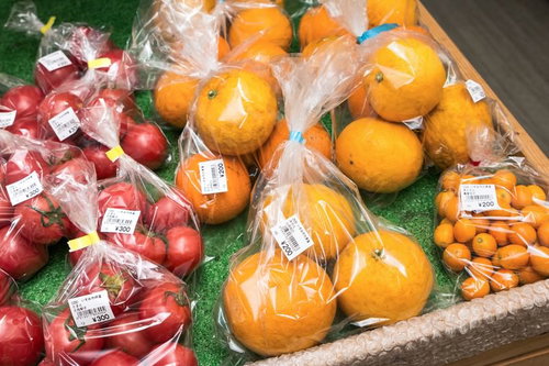 採れたてのいすみ市大原産ミニトマトとみかんの野菜売場