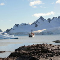 クーパービル島からの景色に集うペンギン群と観測船の写真