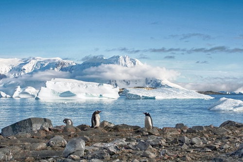 クーパービル島の流氷とペンギンが暮らす南極の景色