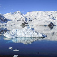 パラダイスベイに浮かぶ流氷と雪山の南極風景の写真