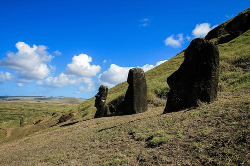 空を見つめるモアイ像と草の丘