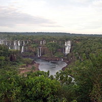 ジャングルに流れるイグアスの滝の全景と周辺の自然景観の写真