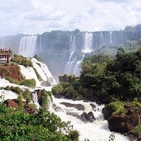砂浜に群れるアフリカペンギンのコロニーの写真