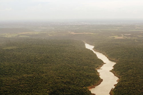 イグアスの滝を流れる大河とジャングルを空撮した樹海