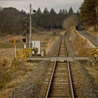 田舎の道に沿って続く線路と緑の風景の写真