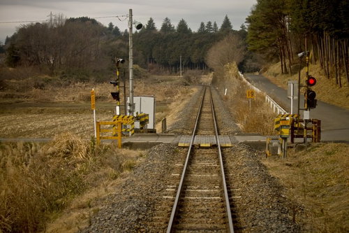 田舎の道に沿って続く線路と緑の風景