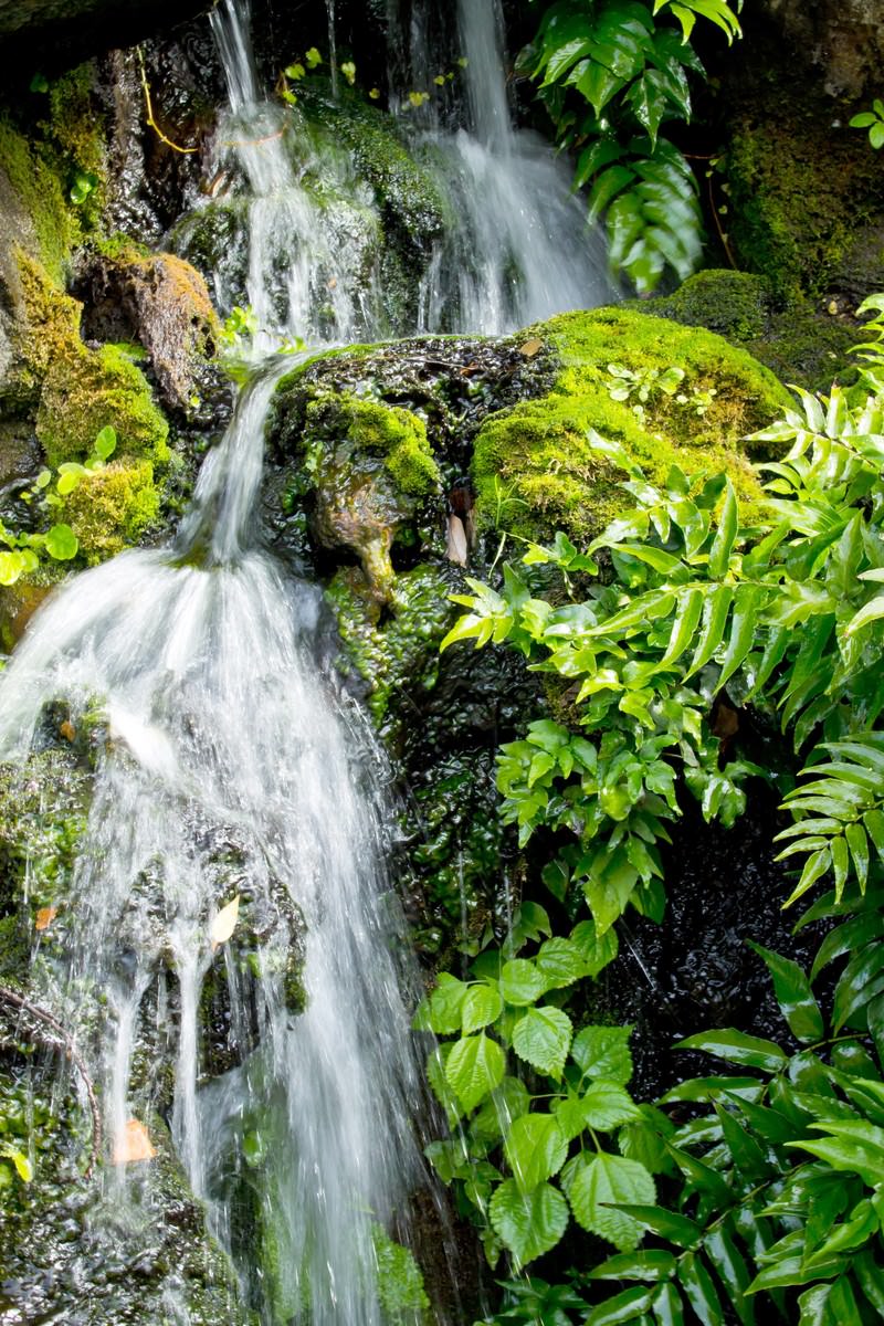 苔むした岩の間を流れる白い水
