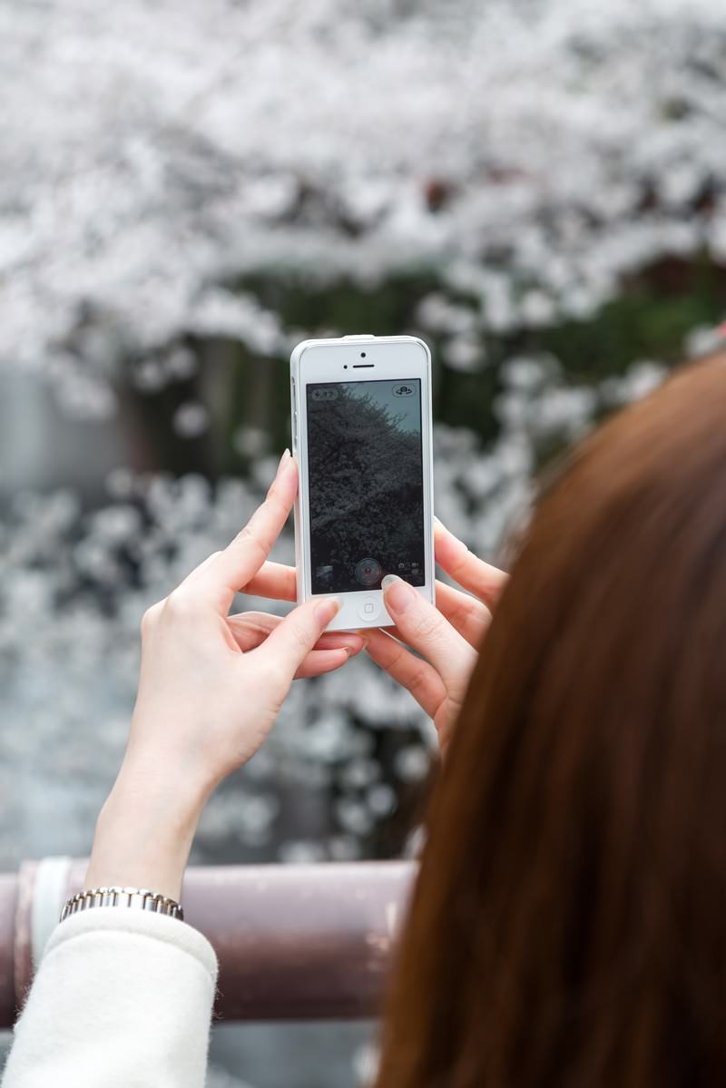 スマホで桜を近くから撮る女性