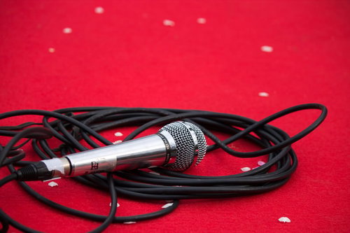 花見の宴会の席に置かれたカラオケ用のワイヤレスマイク