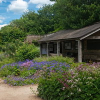 緑の芝生と大きな木が広がるイギリス・レイコックの自然風景の写真