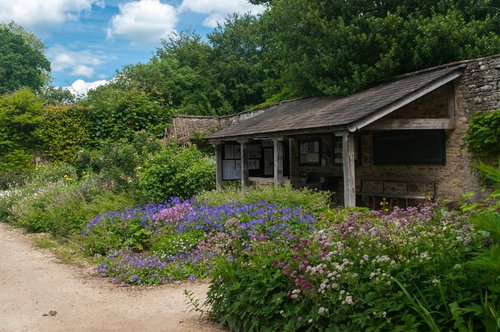緑の芝生と大きな木が広がるイギリス・レイコックの自然風景