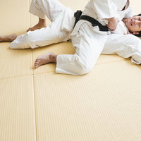 柔道の袈裟固めで身動き取れない選手の寝技の写真