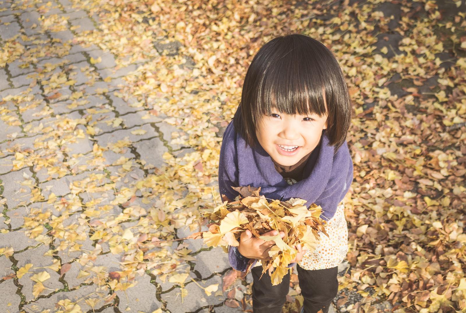 石畳の上で黄色い落ち葉を両手いっぱいに握り、上を向いて笑う紫色の上着の子ども［モデル：あんじゅ］