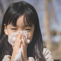 ティッシュで鼻をかむ女の子、風邪や花粉症の症状の写真