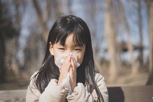 花粉症の季節、ティッシュで鼻をかむ女の子
