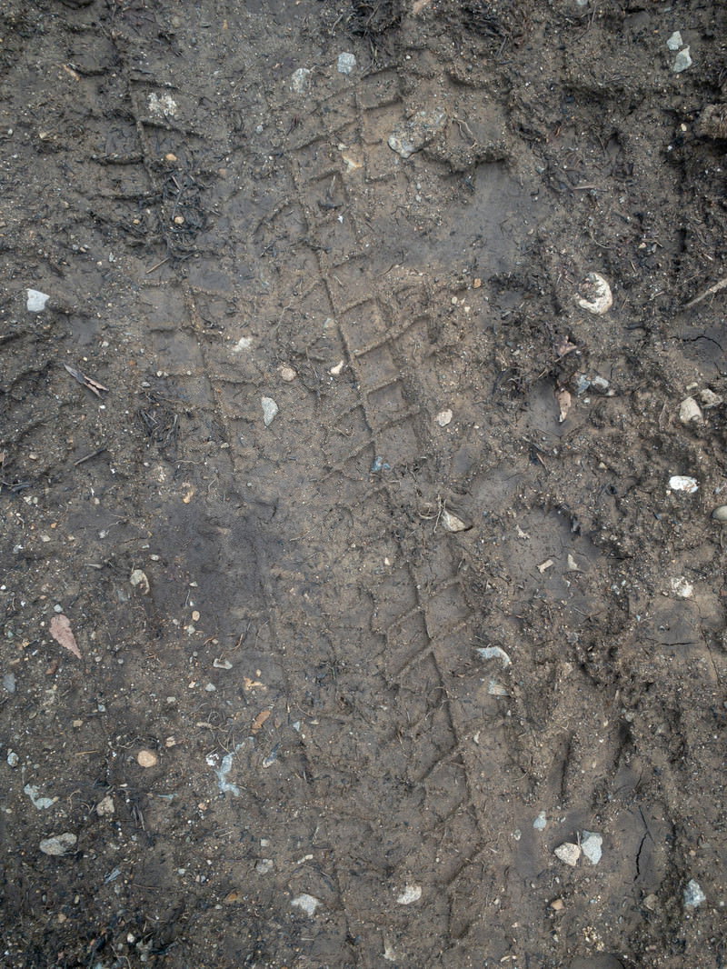 濡れた地面に刻まれたタイヤの轍跡が残る土の表面