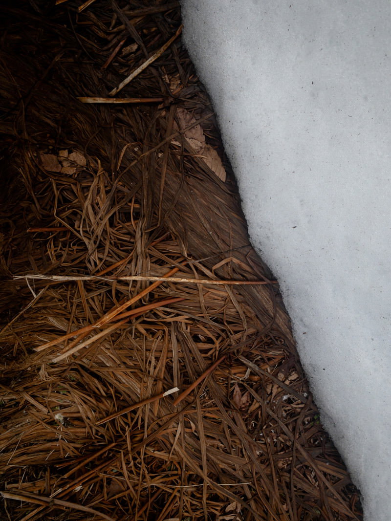 白い雪が部分的に残る地面に茶色く萎れた枯れ草が散らばっている様子