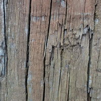 縦方向の木目に沿ったヒビの入った木材テクスチャの写真