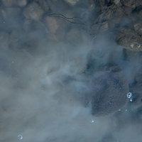 水中の濁りと浮遊物が形成するテクスチャーの写真