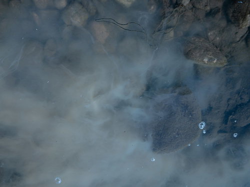 水中の濁りと浮遊物が形成するテクスチャー