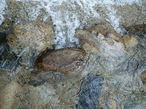 河原の石の間を流れる透明な水（テクスチャー）