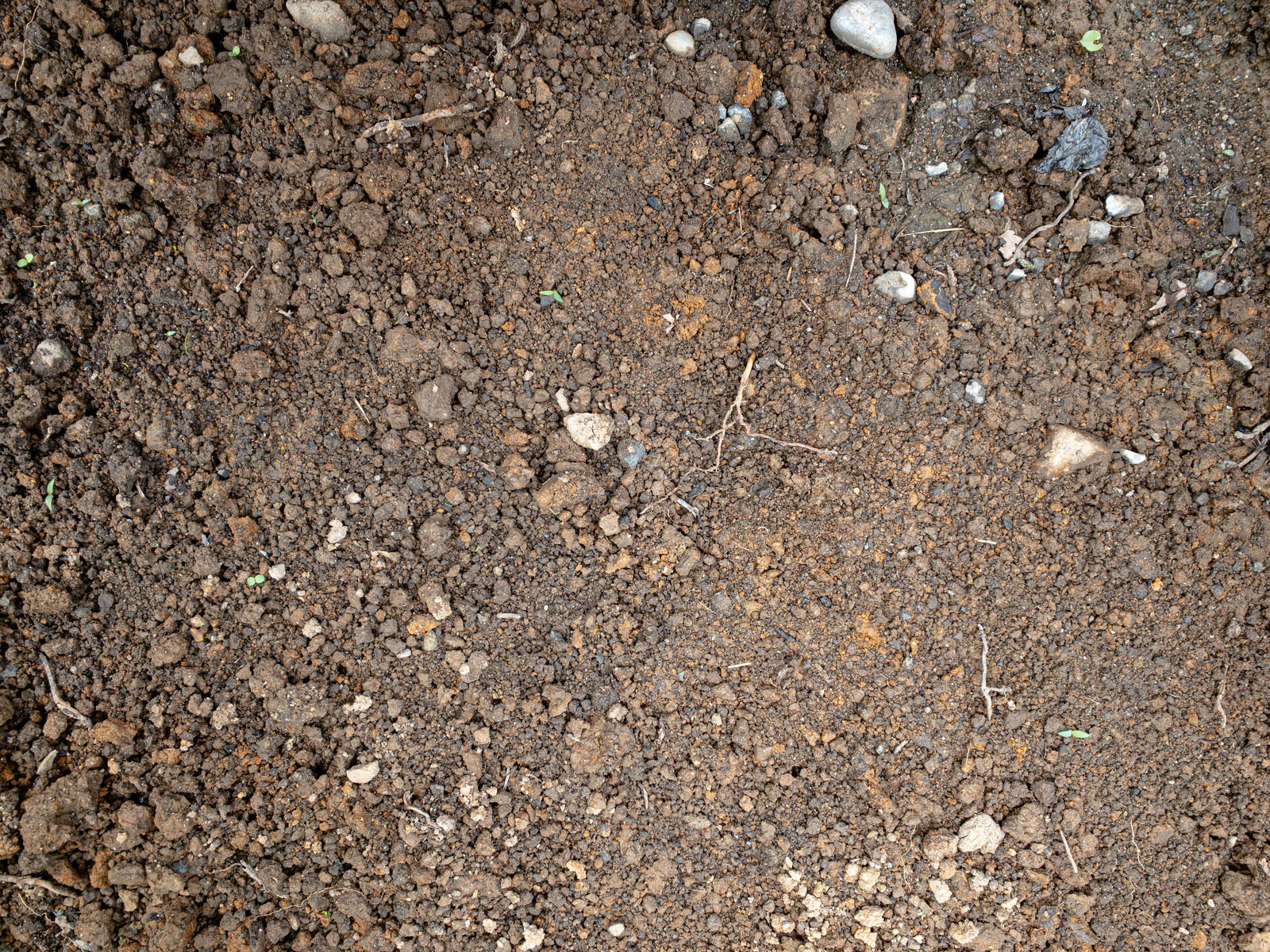 屋外の土の地面を真上から撮影
