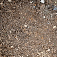 土の地面のテクスチャ（屋外・俯瞰）の写真