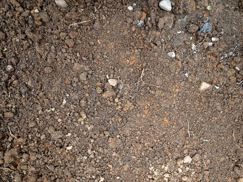 土の地面のテクスチャ（屋外・俯瞰）