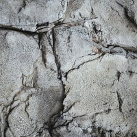 凹凸のある岩肌に走るひび割れたテクスチャーの写真