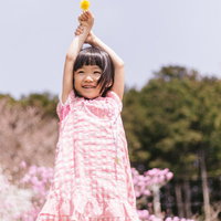 春の陽気ではしゃぐ、ピンク服の女の子とたんぽぽの写真
