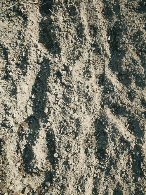 耕した畑の土と足跡のテクスチャー