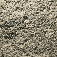 乾燥した畑の土のテクスチャーの写真