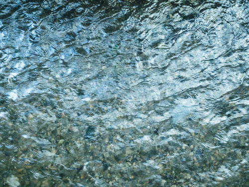 風にそよぐ水面のテクスチャー 波紋と光の反射