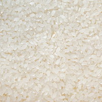 白米に紛れた一粒のテクスチャー、精米された米粒の密集パターン背景の写真