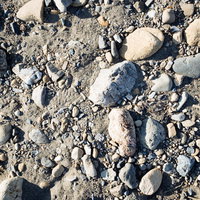 砂地に残る大中小の石のテクスチャーの写真