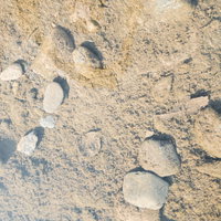 汚れ気味の水の底のテクスチャーの写真